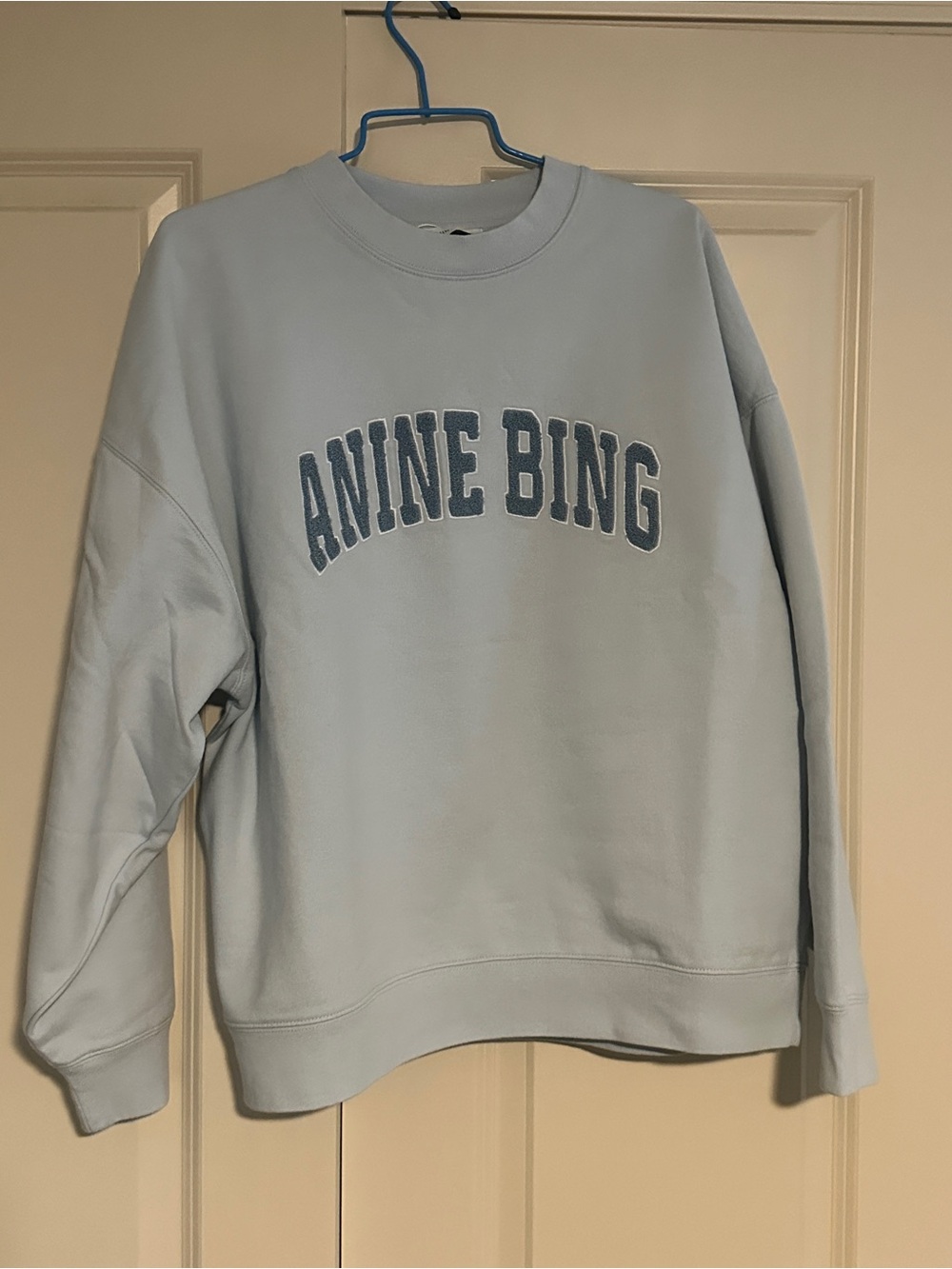 NWT Anine Bing Pale Blue Miles Sweatshirt